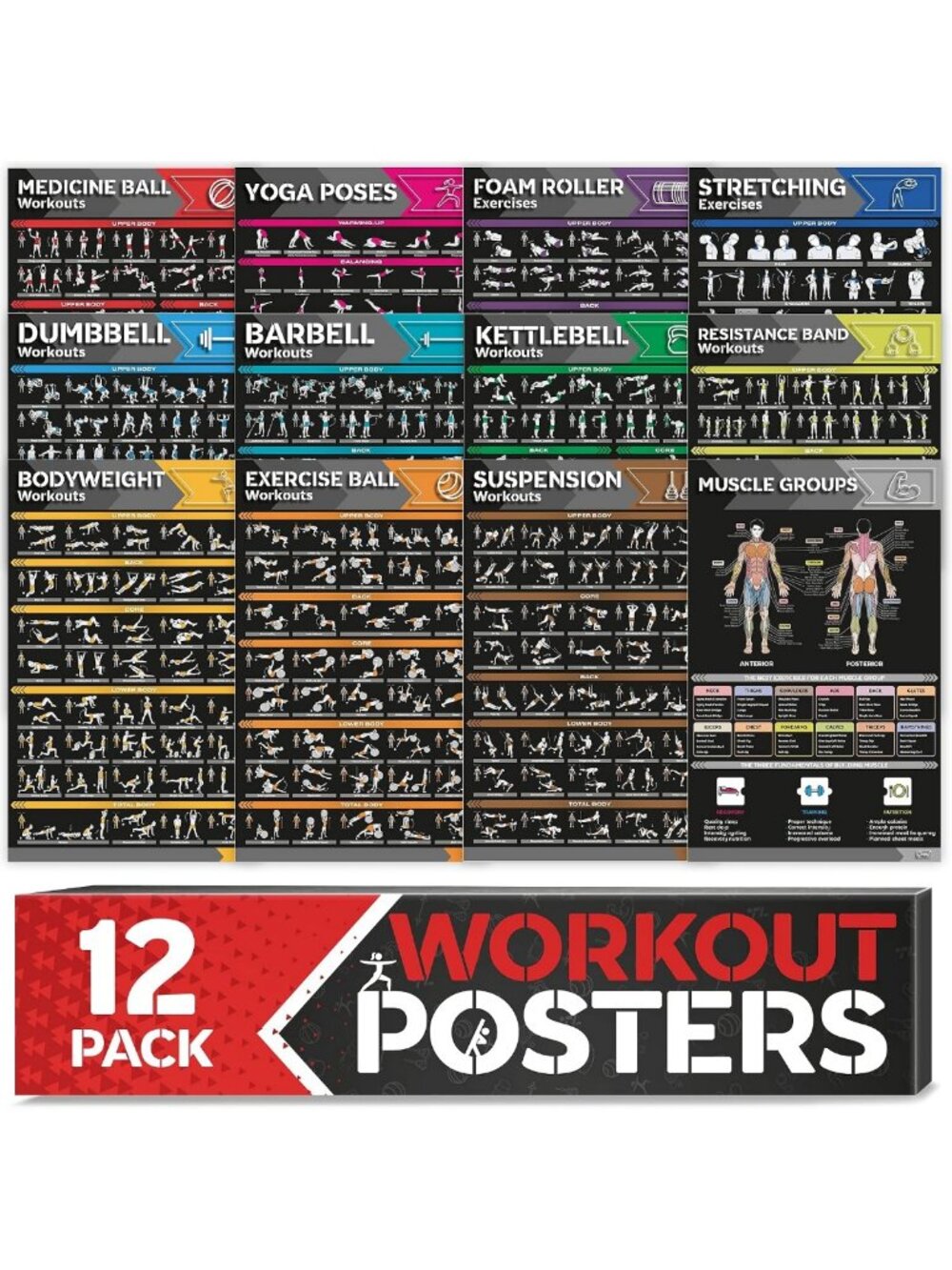12-Pack Laminated Workout Posters for Home Gym - Exercise Charts: Dumbbell